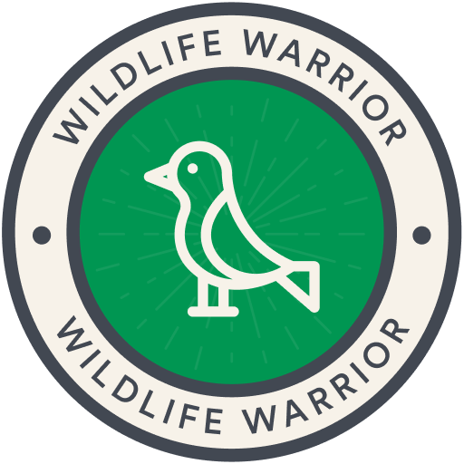 Shake it up Shakespeare